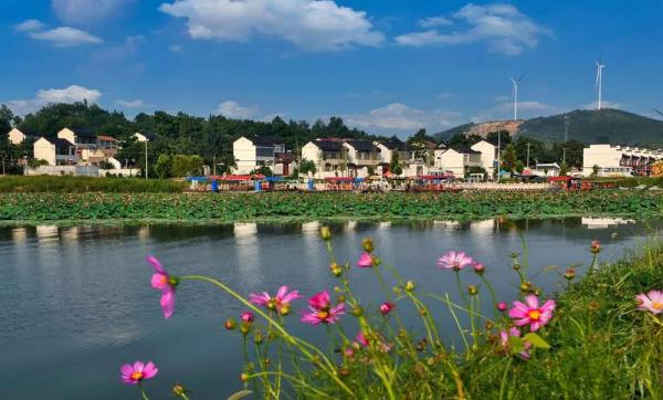 农村家用污水处理设备 农村家用污水处理设备